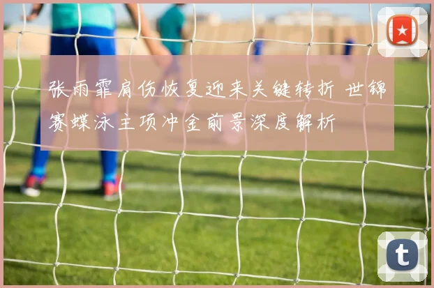 张雨霏肩伤恢复迎来关键转折 世锦赛蝶泳主项冲金前景深度解析