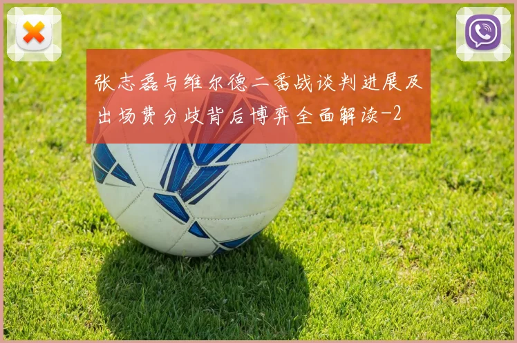 张志磊与维尔德二番战谈判进展及出场费分歧背后博弈全面解读