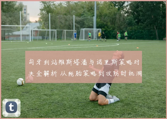 匈牙利站维斯塔潘与诺里斯策略对决全解析 从轮胎策略到攻防时机洞悉胜负关键