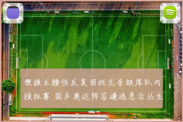 樊振东腰伤反复困扰无奈缺席队内模拟赛 国乒奥运阵容遴选悬念丛生引发热议